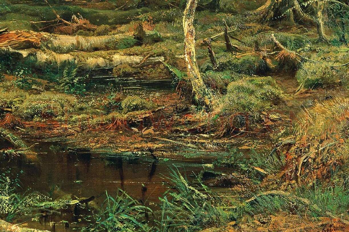 希施金油画森林风景《边远地区的森林》局部 (2)