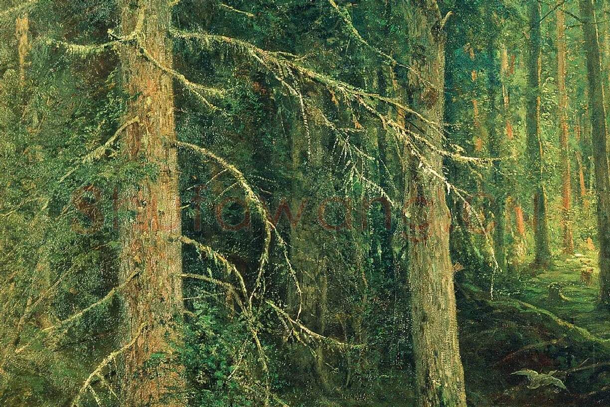 希施金油画森林风景《边远地区的森林》局部 (4)