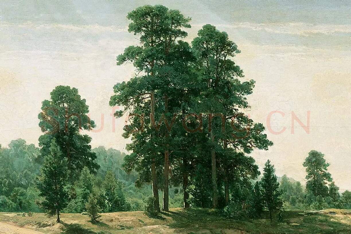 希施金风景画《沙地的树》局部 (1)