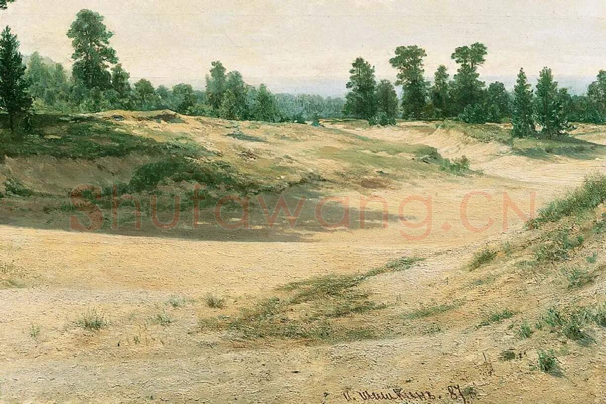 希施金风景画《沙地的树》局部 (2)