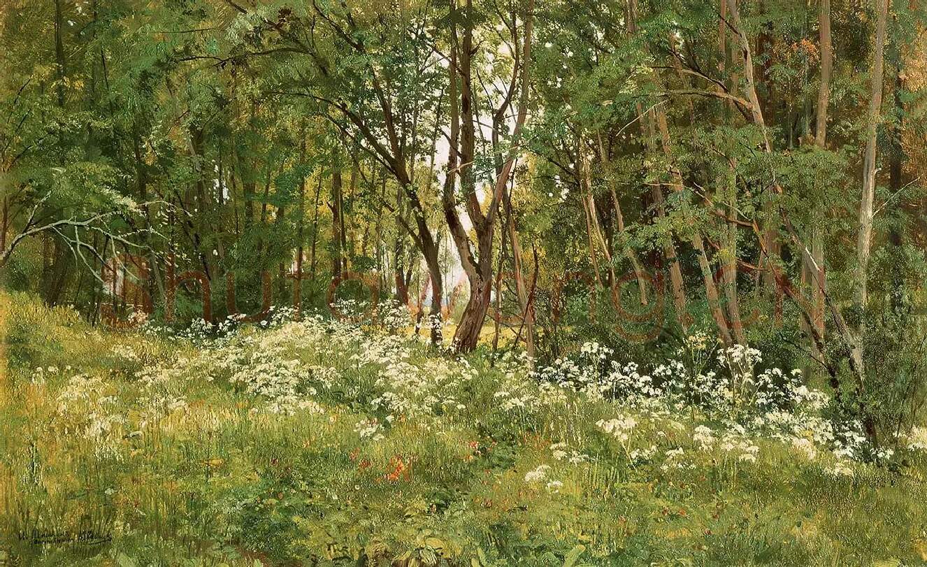 希施金风景油画《树林边的野花》