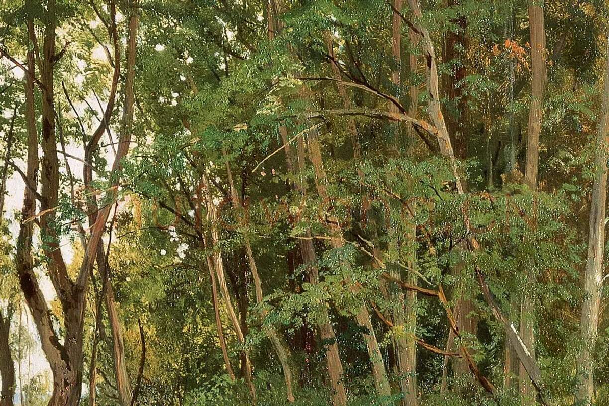 希施金风景油画《树林边草地上的野花》局部 (2)