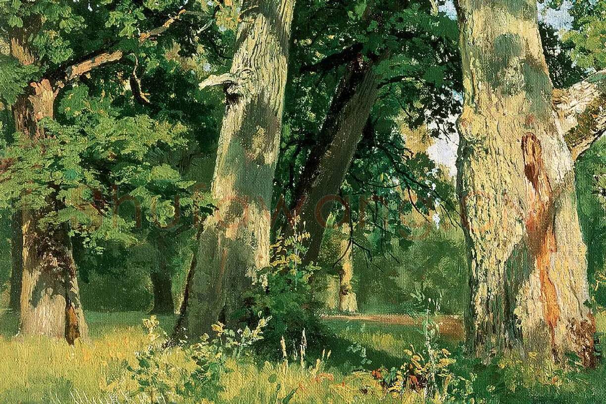希施金油画风景《阳光下的橡树林》局部 (1)