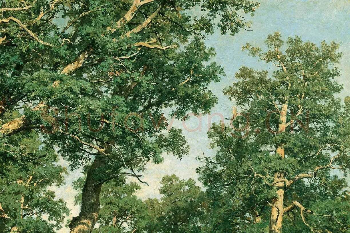 希施金油画风景《橡树林》局部 (3)