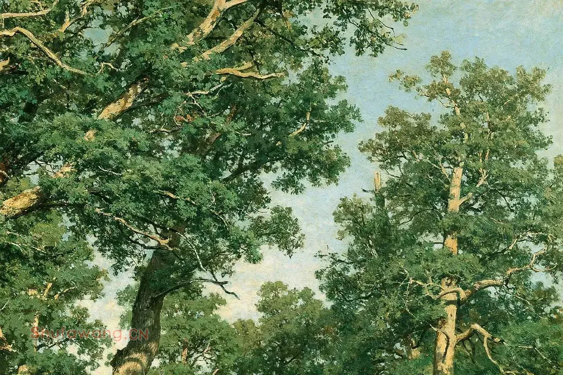 希施金油画风景《橡树林》局部 (3)