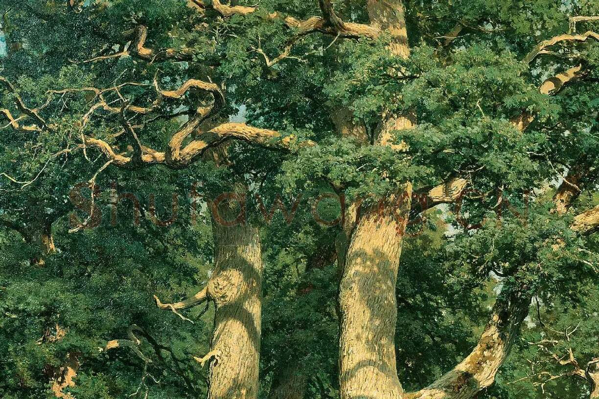 希施金油画风景《橡树林》局部 (4)