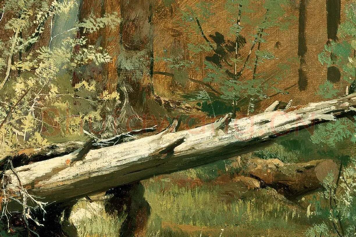 希施金油画树林风景局部 (3)