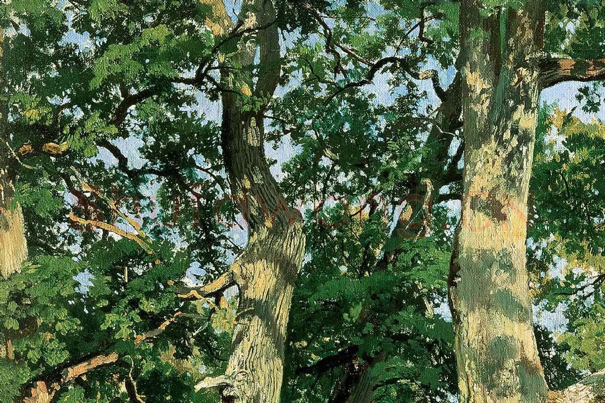 希施金油画风景《阳光下的橡树林》局部 (4)
