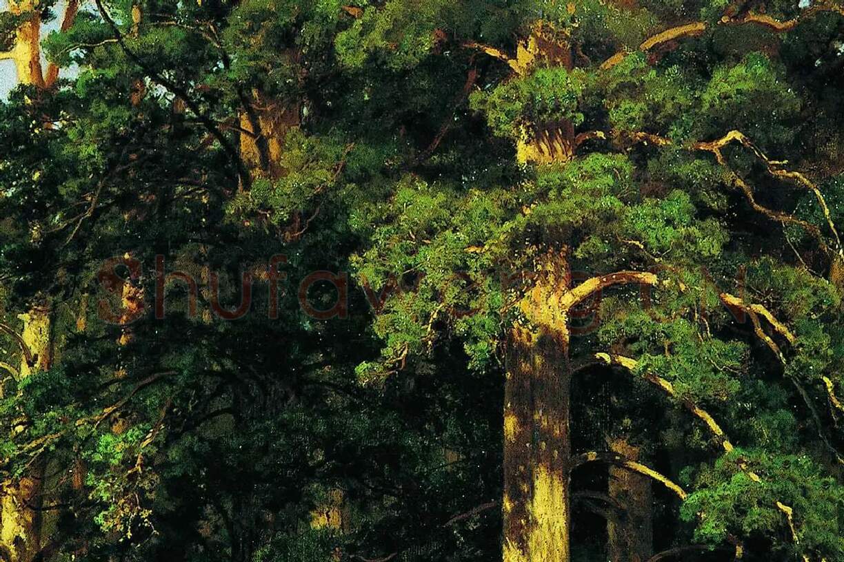 希施金油画森林风景局部 (3)