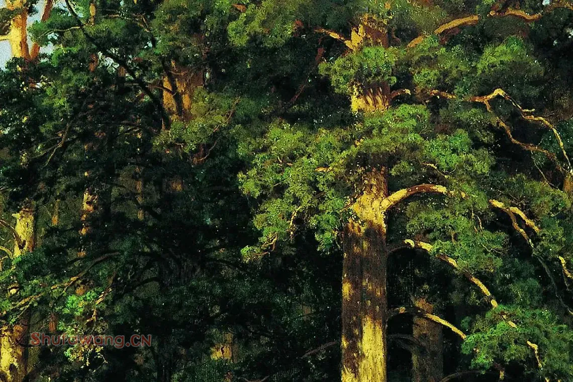 希施金油画森林风景局部 (3)
