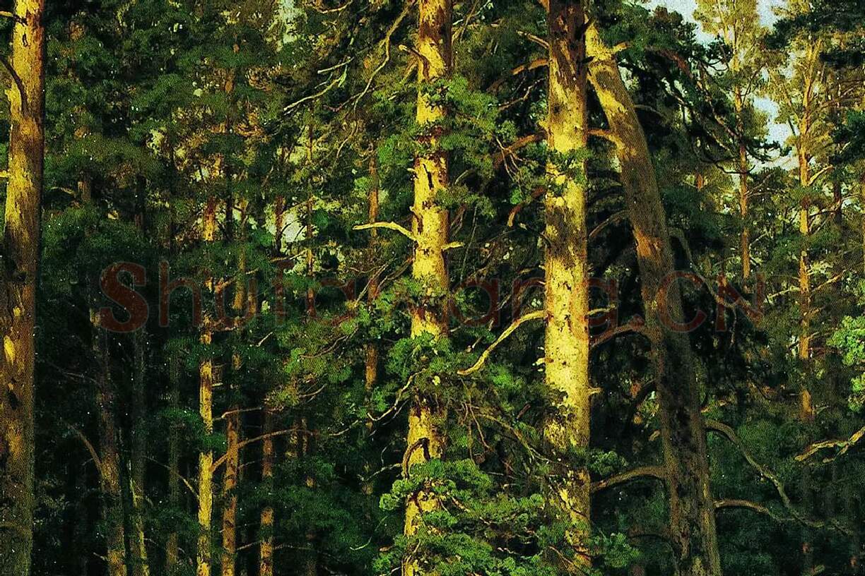 希施金油画森林风景局部 (4)