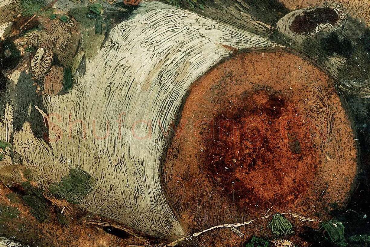 希施金作品《砍伐的桦树》局部 (2)