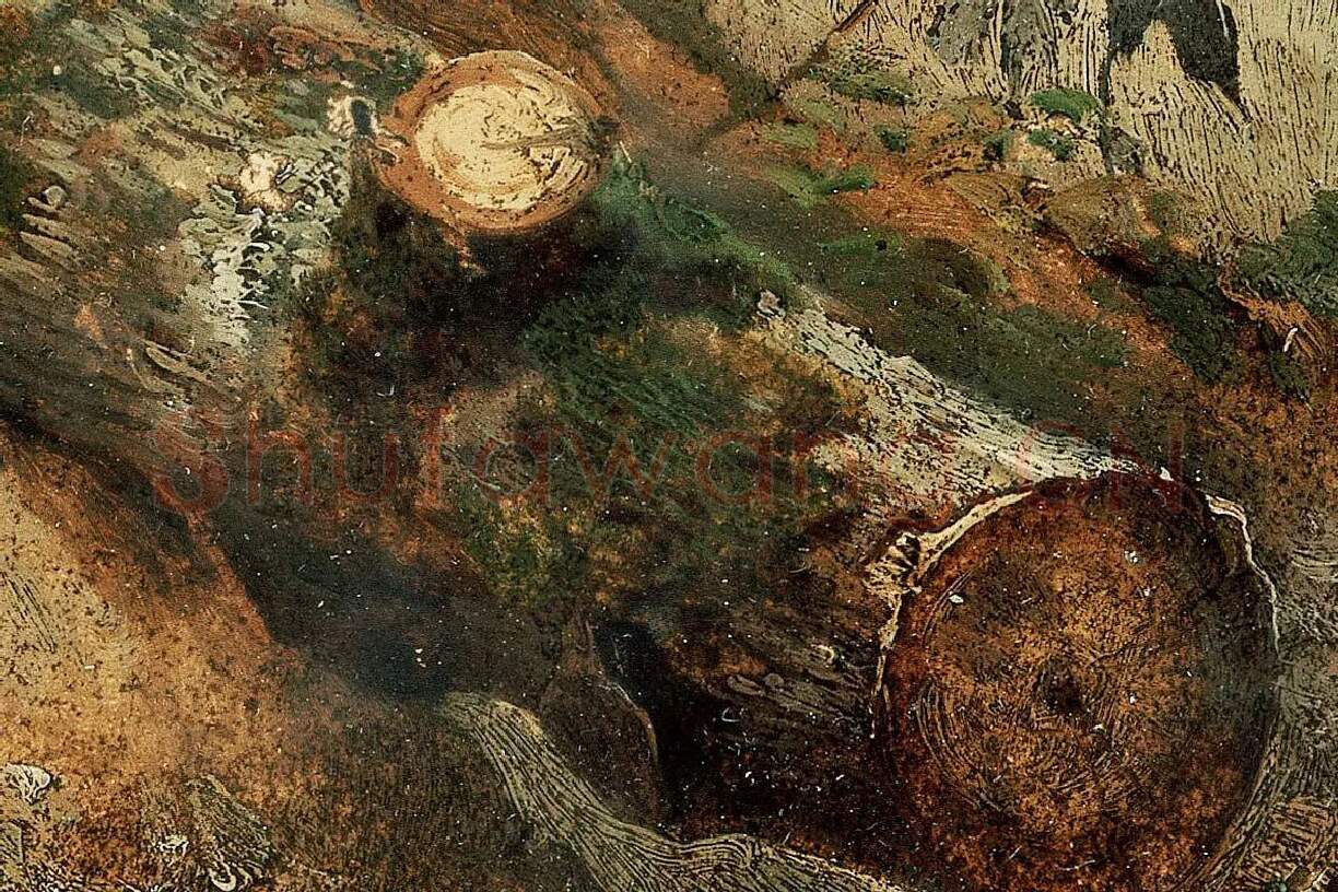 希施金作品《砍伐的桦树》局部 (3)