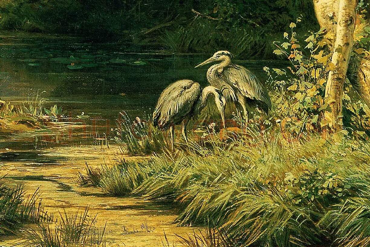 希施金油画风景《有苍鹭的森林风景》局部 (1)