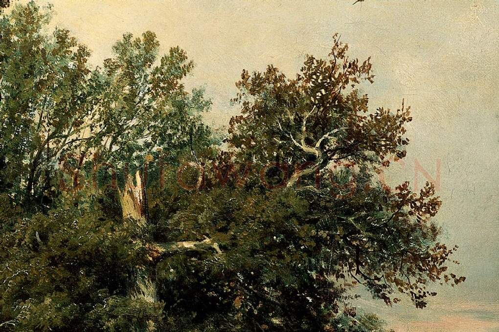 希施金油画《采集蘑菇的农妇》局部 (5)