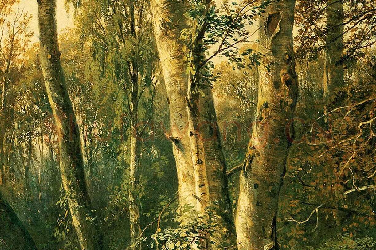 希施金油画风景《有苍鹭的森林风景》局部 (3)