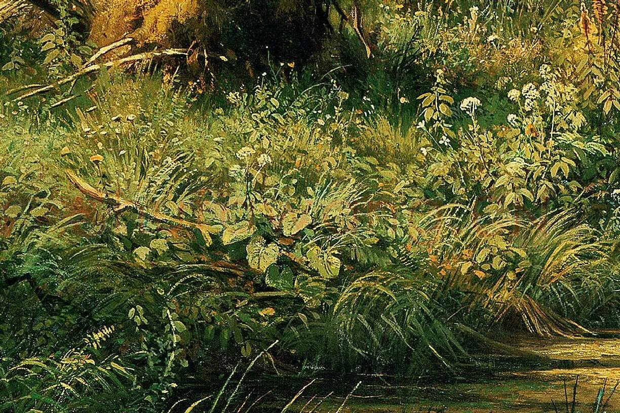 希施金油画风景《有苍鹭的森林风景》局部 (5)