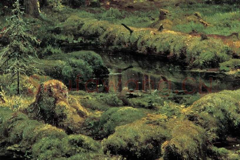 希施金森林风景画《针叶林》局部 (1)