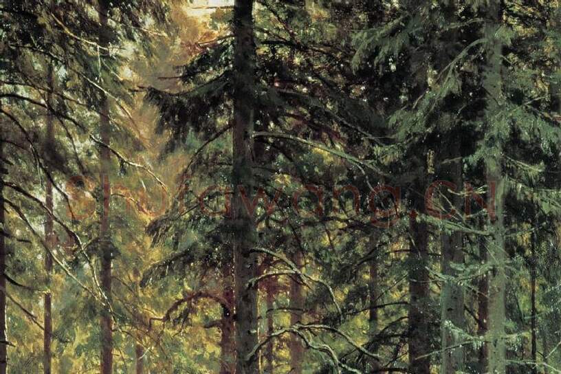 希施金森林风景画《针叶林》局部  (4)