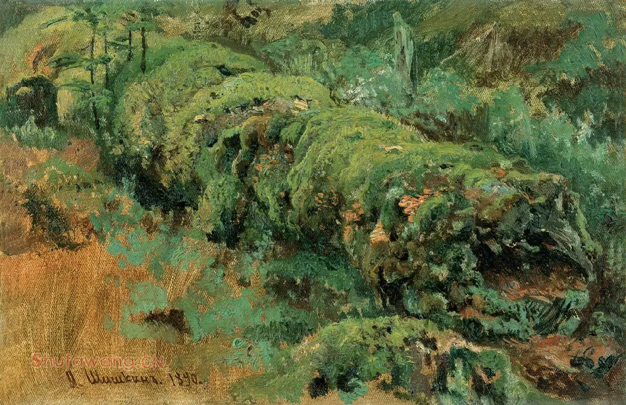 希施金油画《腐烂树干上的苔藓》高清图片