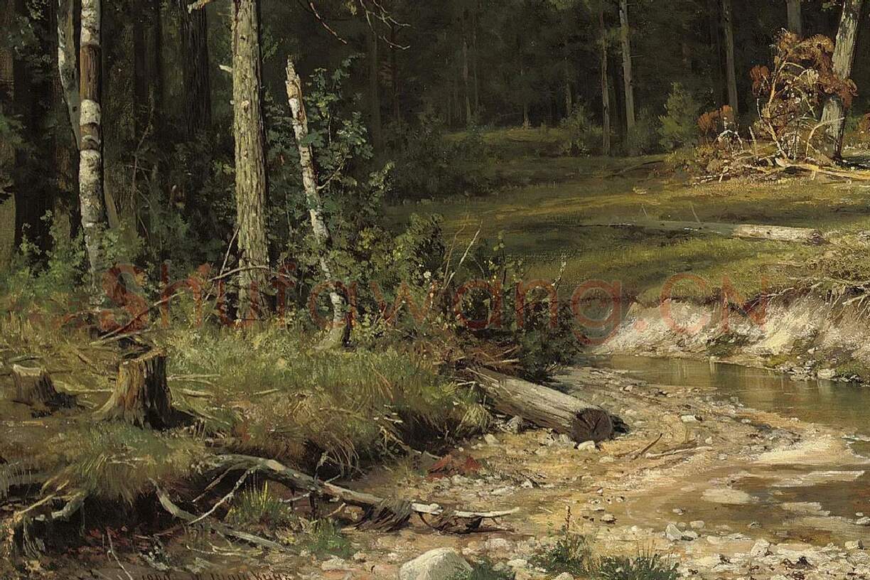 希施金森林风景画《维亚特卡的松林》局部 (1)