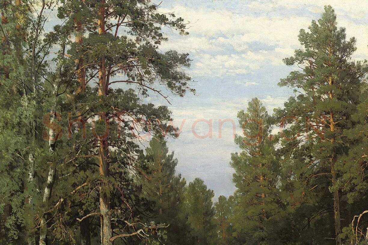 希施金森林风景画《维亚特卡的松林》局部 (4)