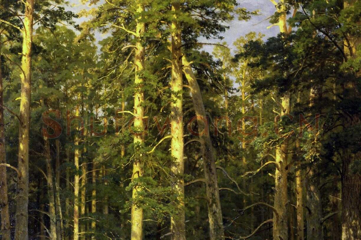 希施金油画森林风景画作品局部 (4)