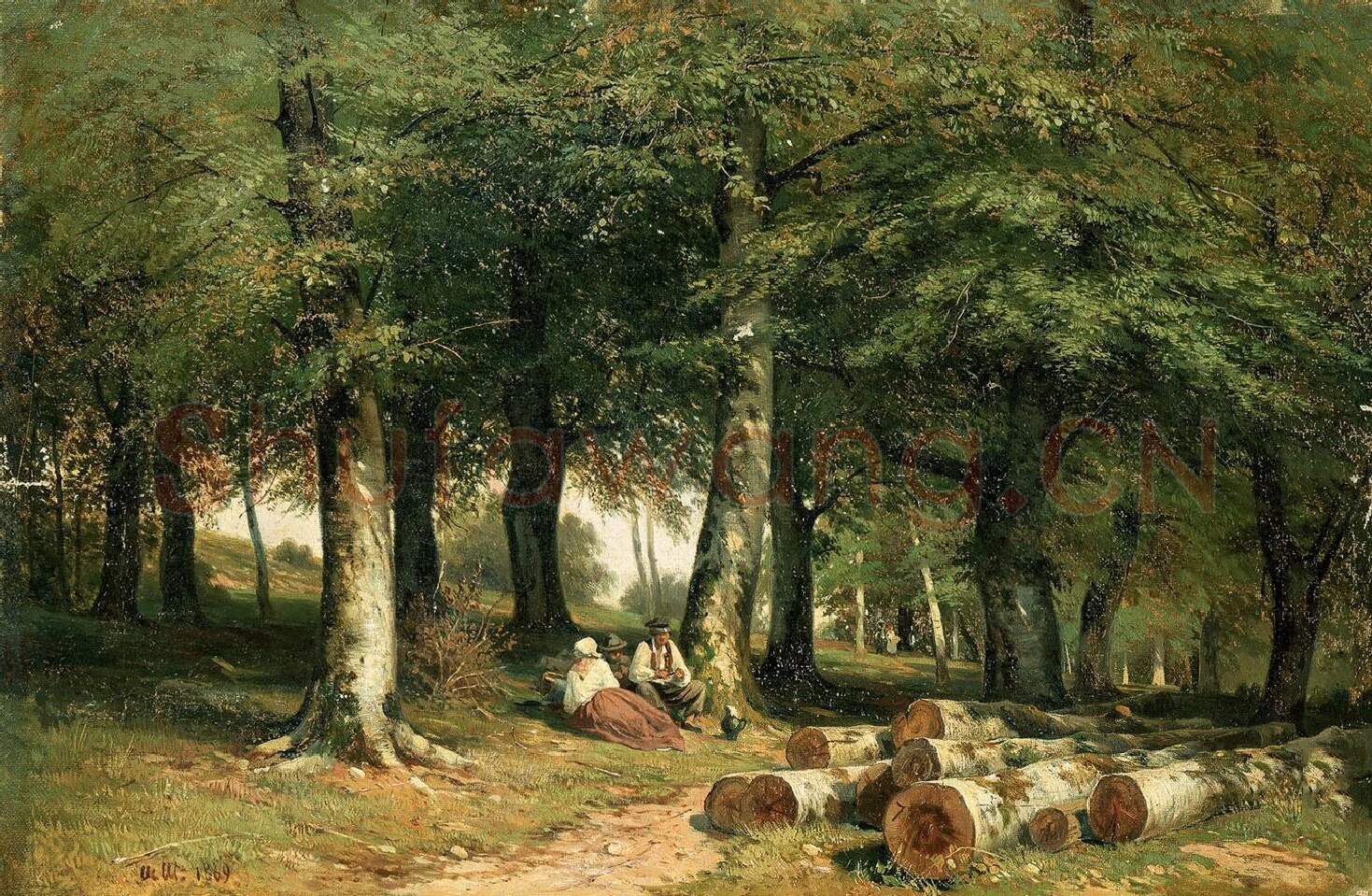 希施金油画林场的树林风景