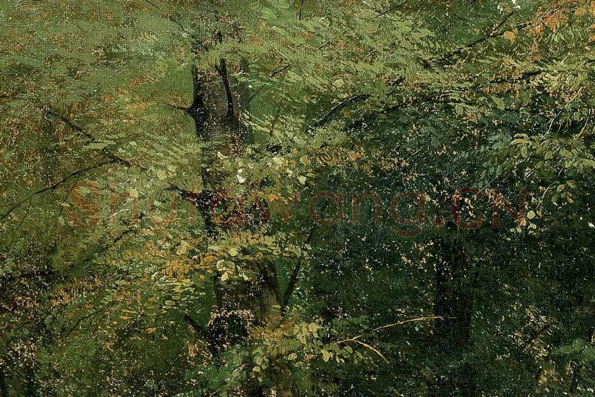 希施金油画林场的树林风景局部 (3)