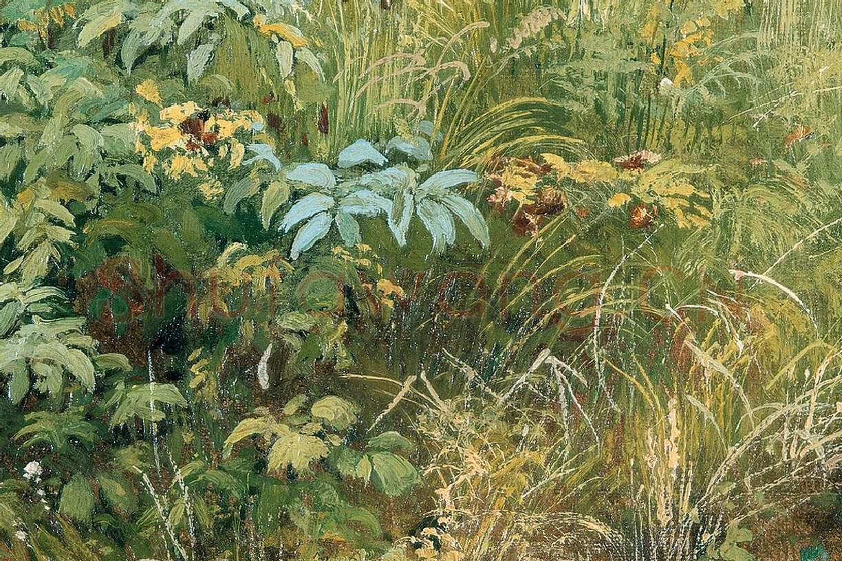 希施金油画风景《野草与野花》局部 (1)