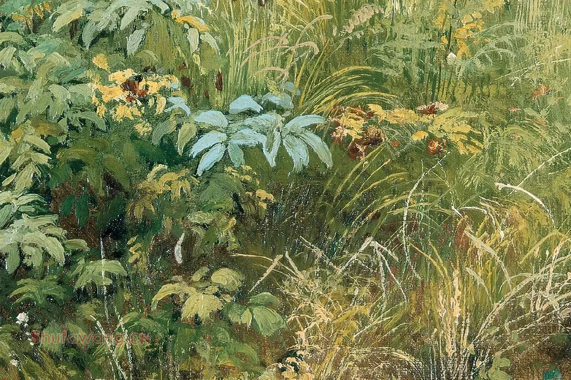 希施金油画风景《野草与野花》局部 (1)