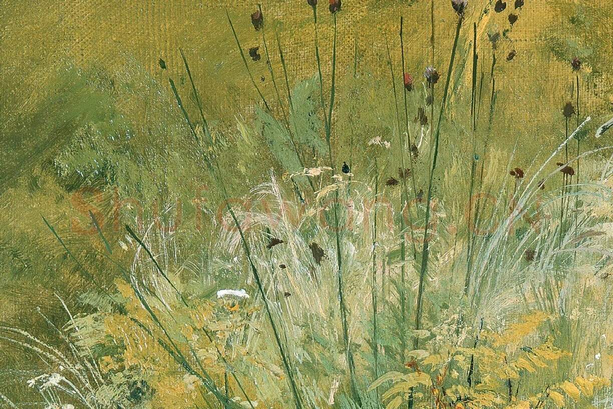 希施金油画风景《野草与野花》局部 (3)