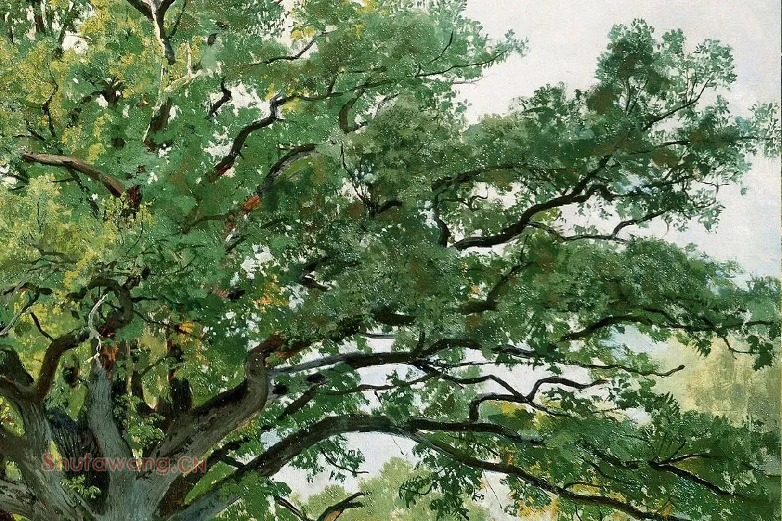 希施金油画橡树风景《草地上的橡树》局部 (2)