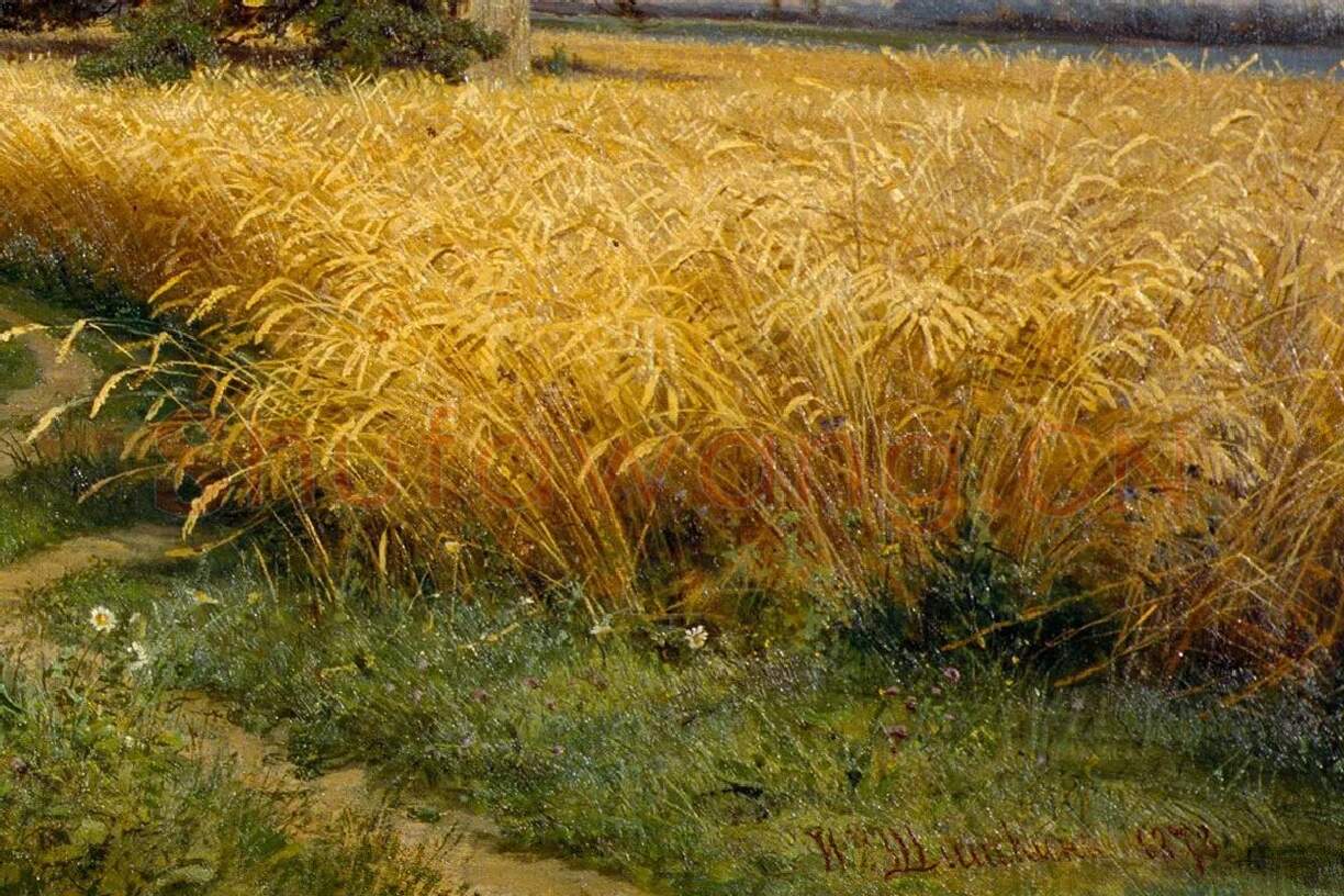 希施金《麦田》油画风景局部 (1)