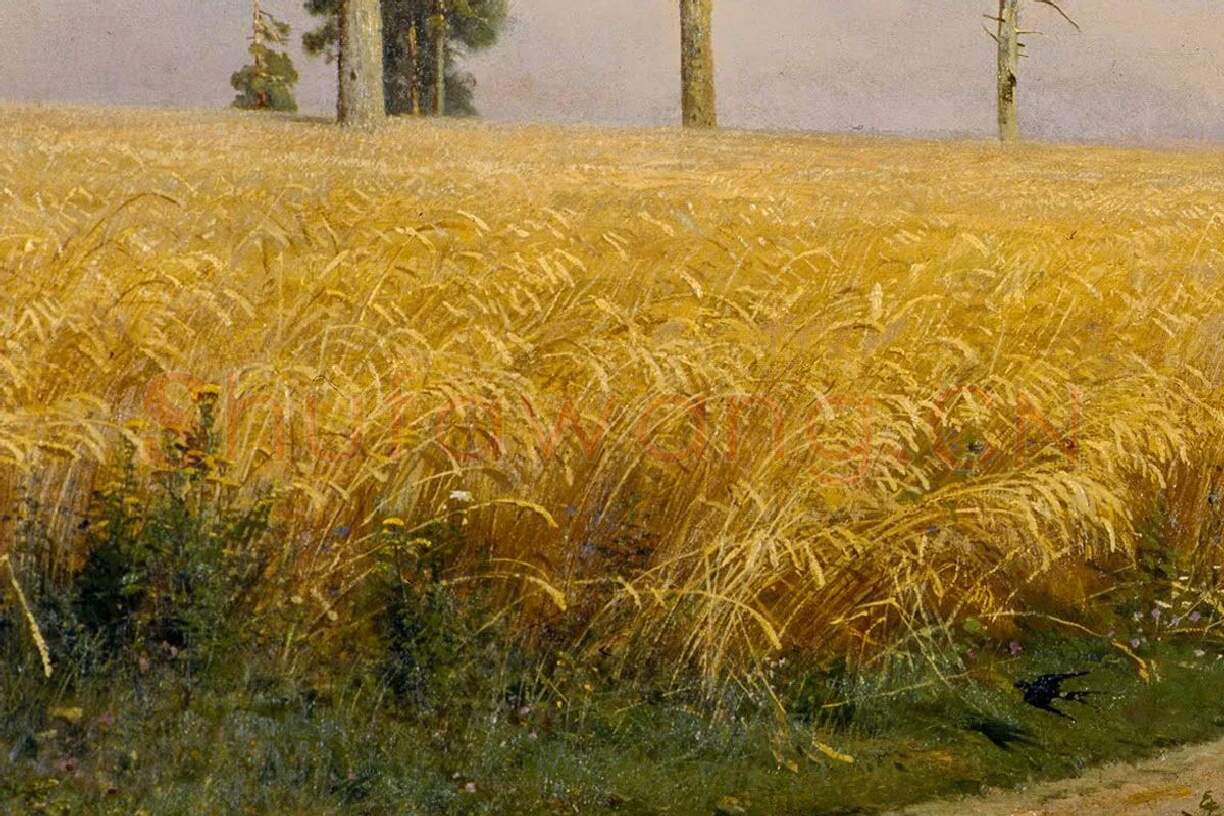 希施金《麦田》油画风景局部 (3)