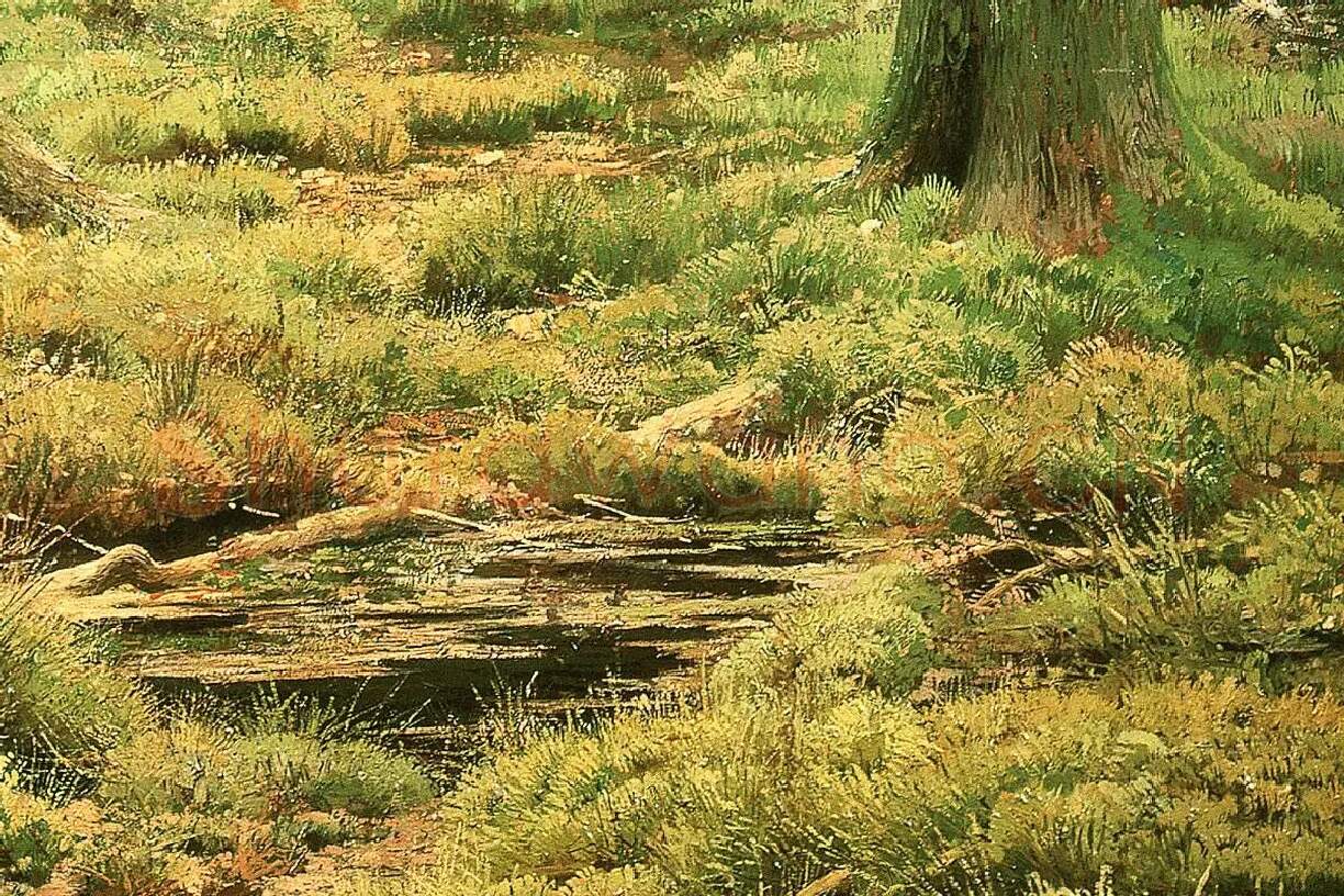 希施金油画《针叶林》森林风景局部 (2)