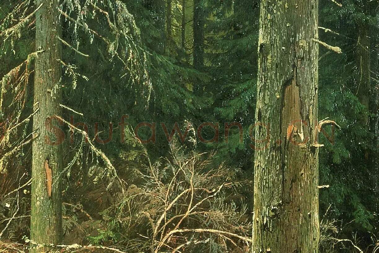 希施金油画《针叶林》森林风景局部 (3)