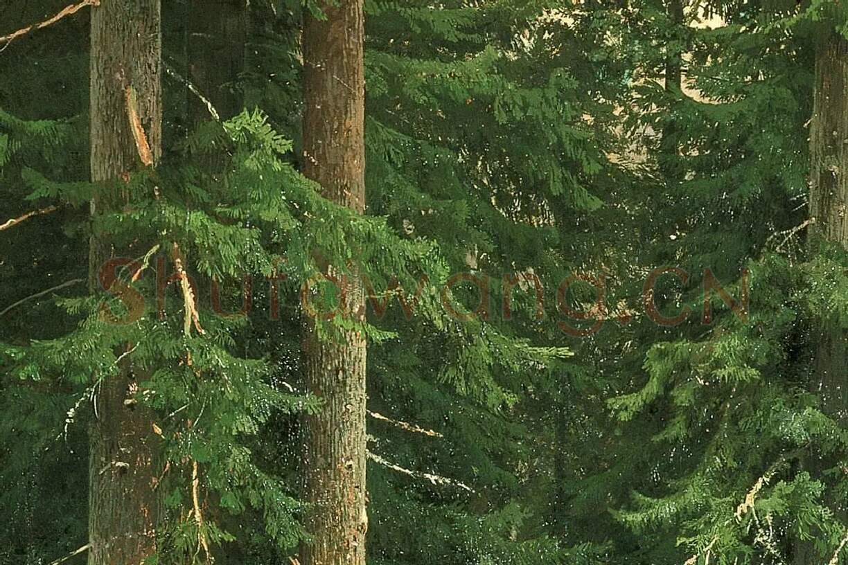 希施金油画《针叶林》森林风景局部 (5)