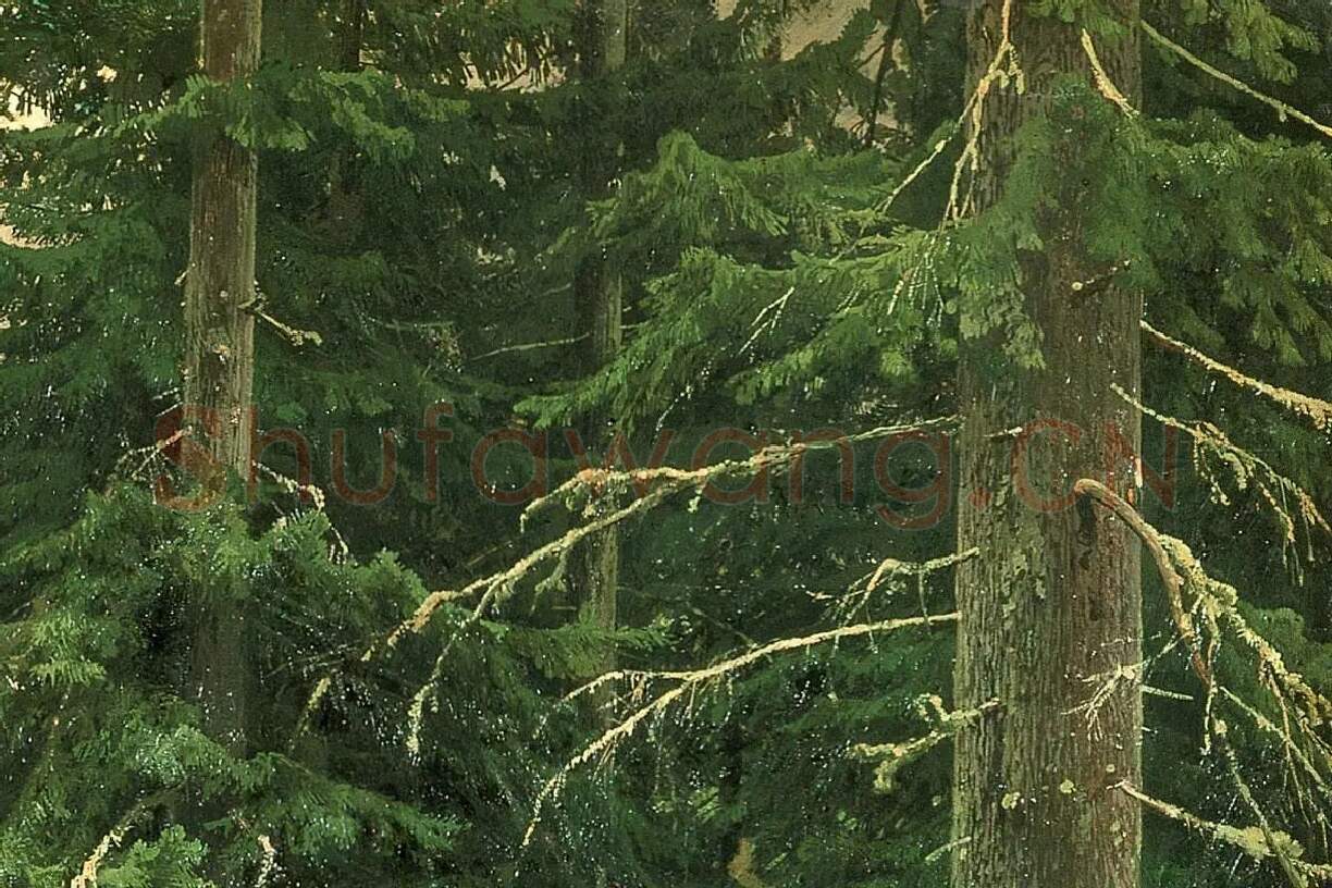 希施金油画《针叶林》森林风景局部 (6)