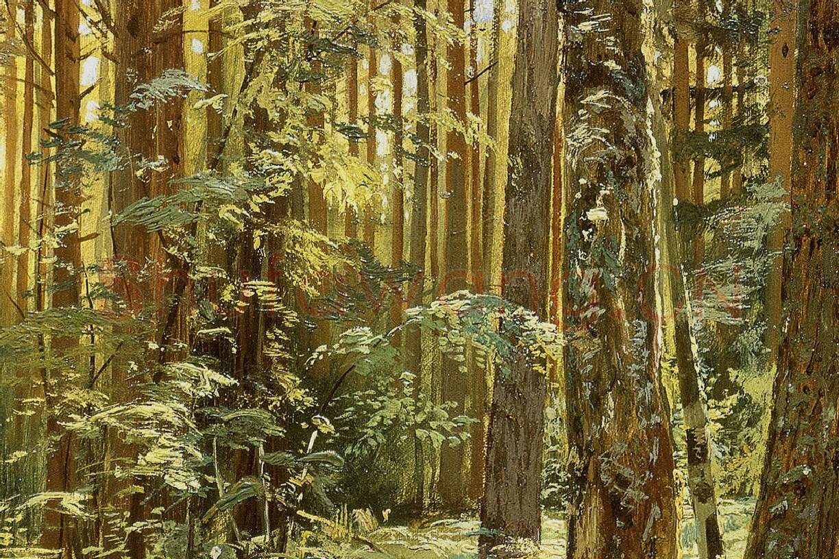 希施金风景油画《森林里的蕨类植物》局部 (1)