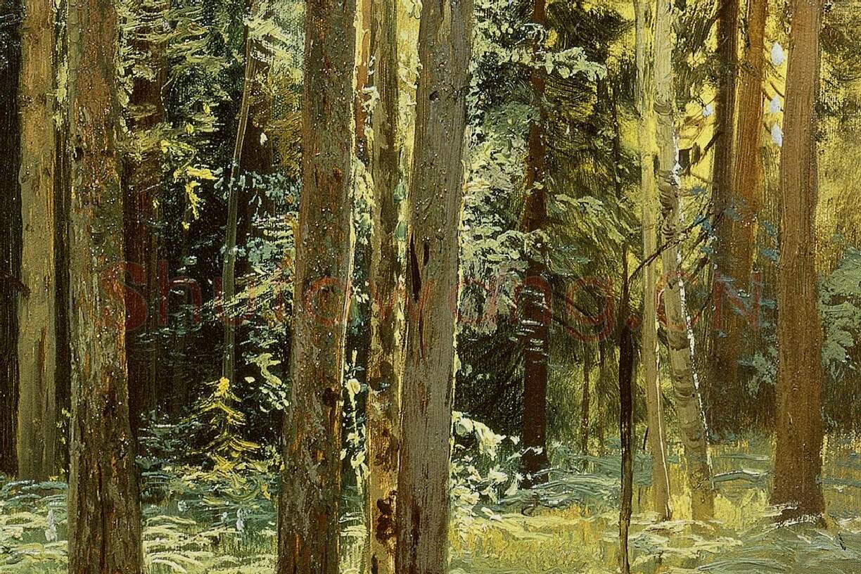 希施金风景油画《森林里的蕨类植物》局部 (2)