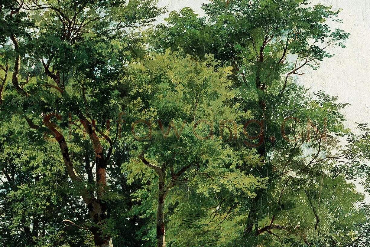 希施金油画风景《水青冈树林》局部 (3)