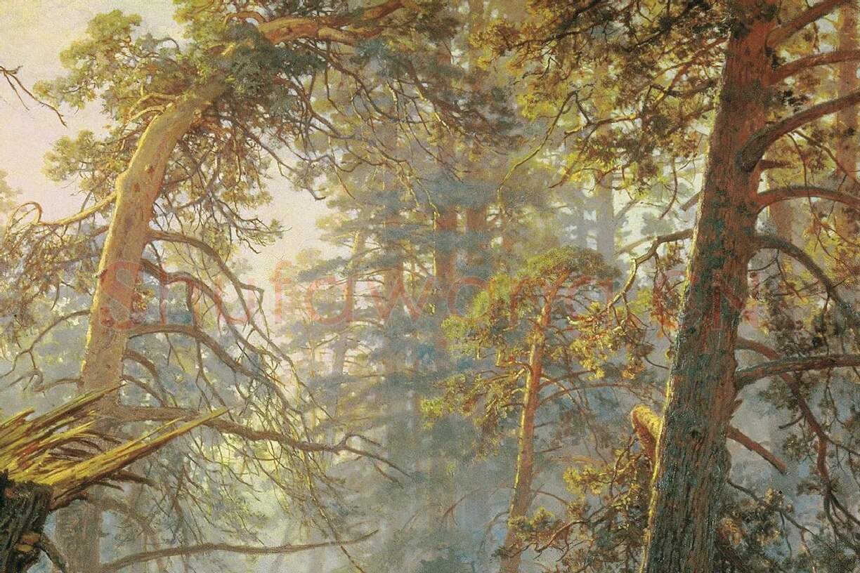 希施金代表作《松林的早晨》局部 (5)