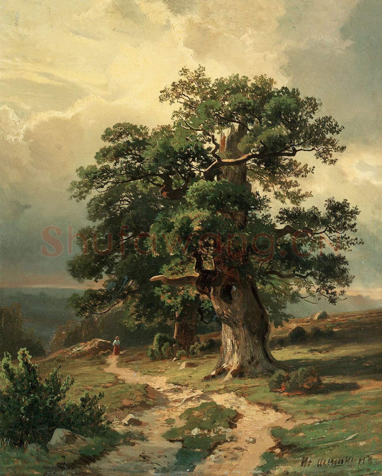 希施金风景画《苍老的橡树》高清大图