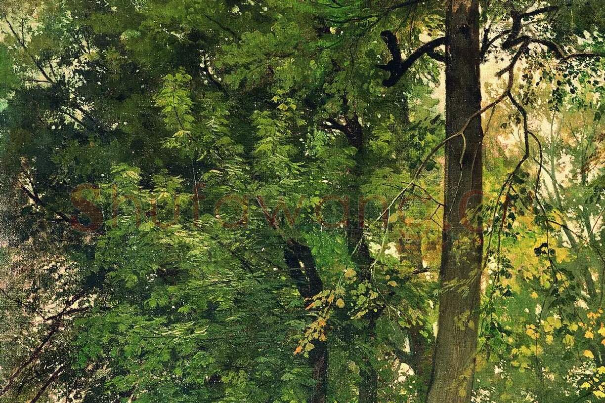 希施金油画风景《瑞士的水青冈森林》局部 (4)