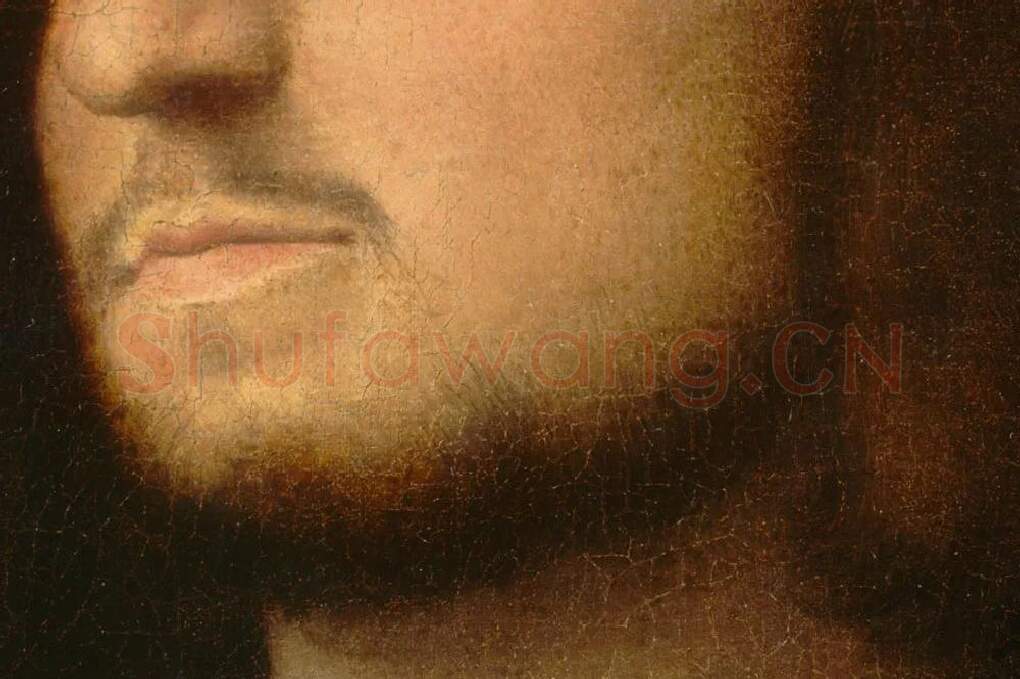 乔尔乔内油画作品《有书的威尼斯绅士肖像》局部细节 (1)