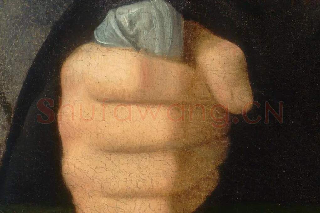 乔尔乔内油画作品《有书的威尼斯绅士肖像》局部细节 (4)