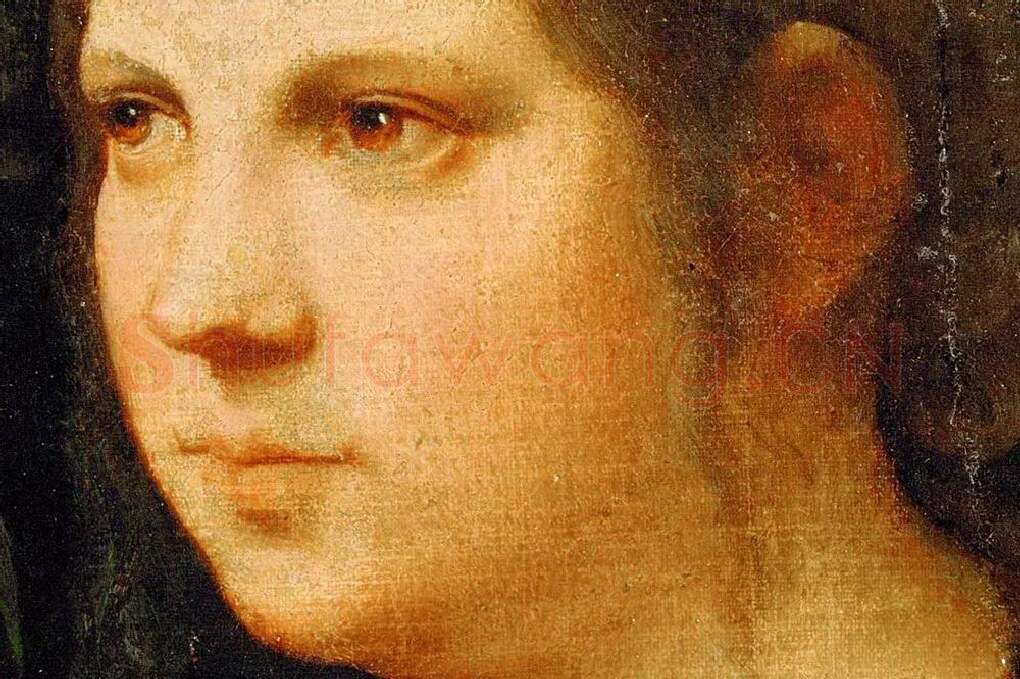 乔尔乔内油画肖像作品《一个年轻女人的肖像》局部 (1)