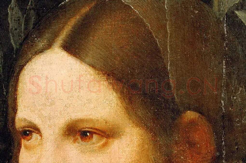 乔尔乔内油画肖像作品《一个年轻女人的肖像》局部 (2)