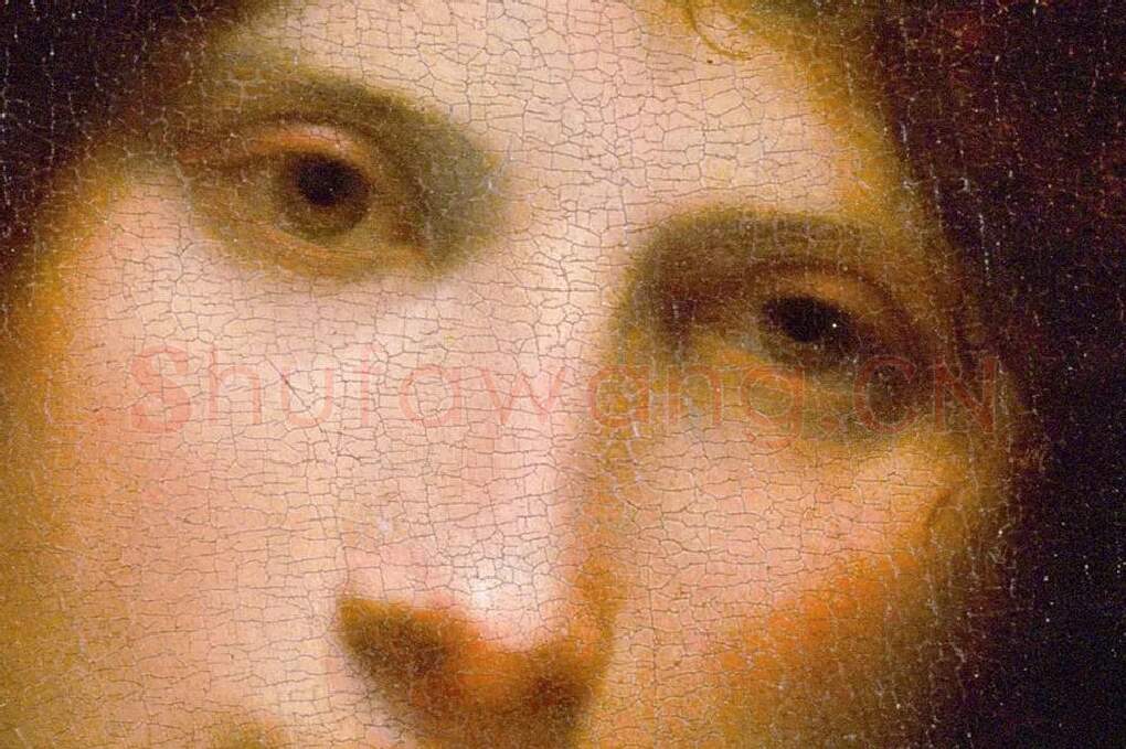 乔尔乔内作品《带箭的男孩肖像》局部 (2)